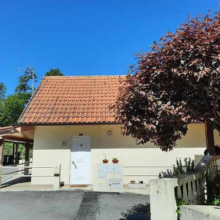 Апартаменти Casas Do Caminho Velho Рібейра-де-Пена Екстер'єр фото